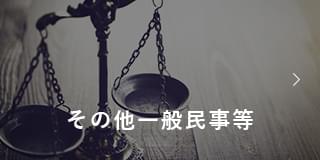 その他一般民事等