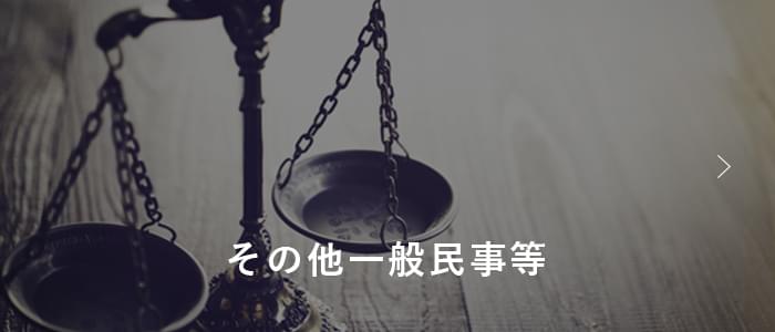 その他一般民事等